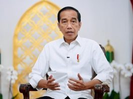 Presiden Jokowi (BPMI Setpres)